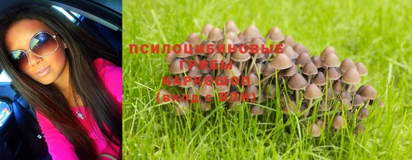 винт Корсаков