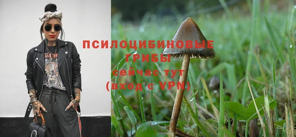 винт Корсаков