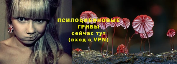 мдма Коряжма