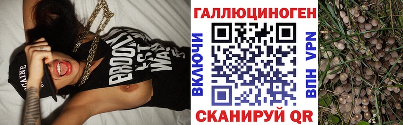 KRAKEN ссылки  Красавино  Псилоцибиновые грибы мухоморы  что такое  